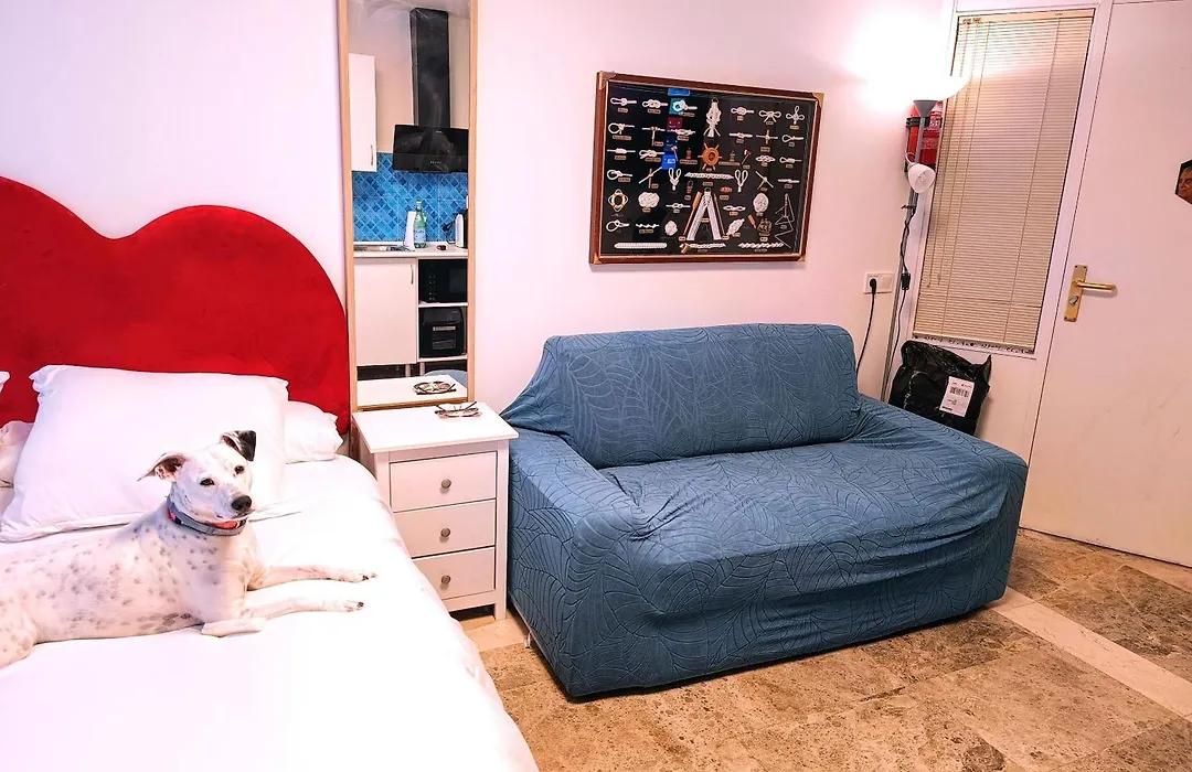 Hostal Estudios-1